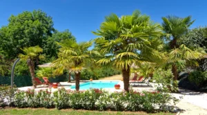 maisondupech carlux arrivee piscine